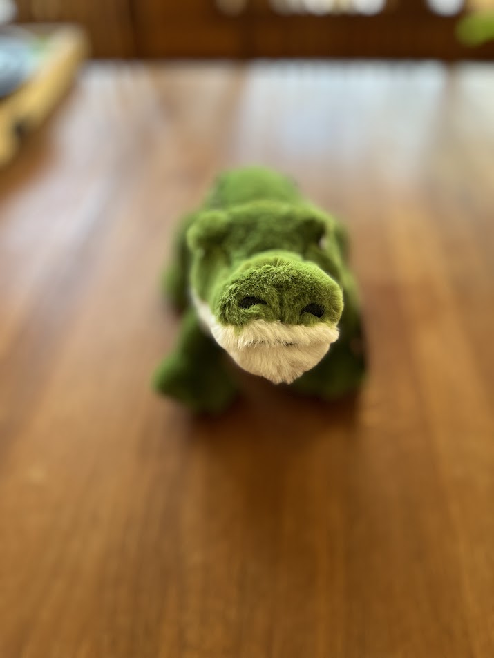 Bernie the Gator plush, head-on